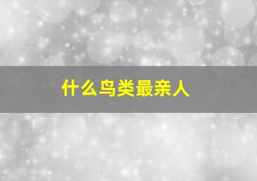 什么鸟类最亲人