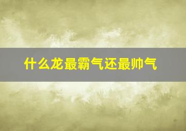 什么龙最霸气还最帅气