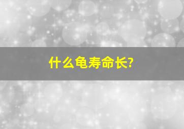 什么龟寿命长?