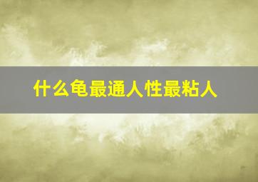 什么龟最通人性最粘人