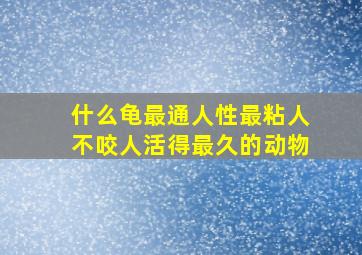 什么龟最通人性最粘人不咬人活得最久的动物