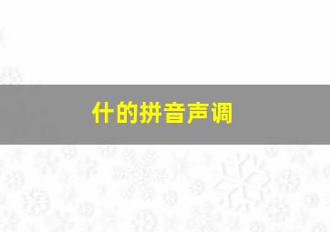 什的拼音声调