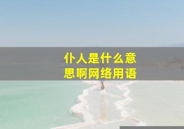 仆人是什么意思啊网络用语