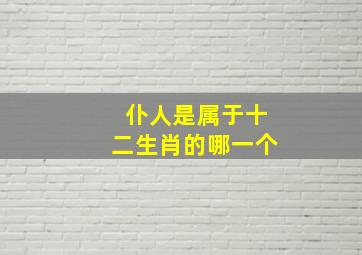 仆人是属于十二生肖的哪一个