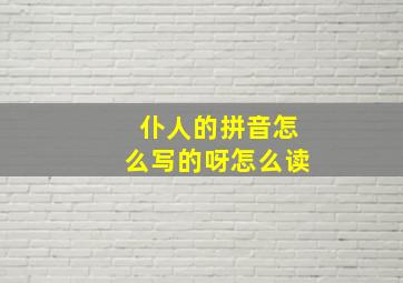 仆人的拼音怎么写的呀怎么读