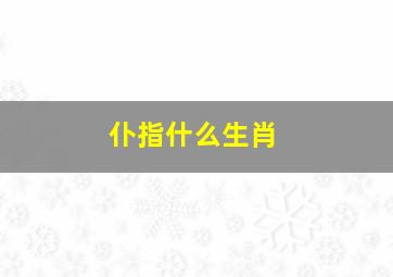 仆指什么生肖