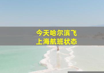 今天哈尔滨飞上海航班状态