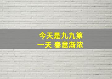 今天是九九第一天 春意渐浓