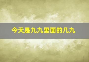 今天是九九里面的几九