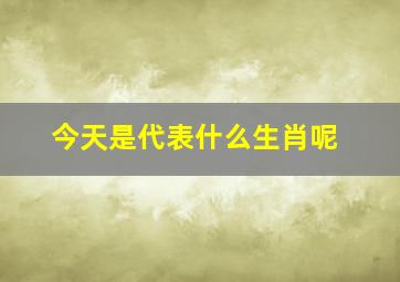 今天是代表什么生肖呢