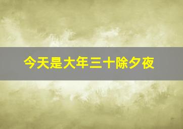 今天是大年三十除夕夜