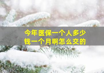 今年医保一个人多少钱一个月啊怎么交的