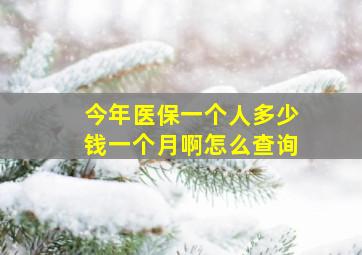 今年医保一个人多少钱一个月啊怎么查询