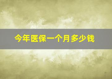 今年医保一个月多少钱