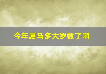 今年属马多大岁数了啊