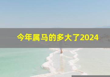 今年属马的多大了2024