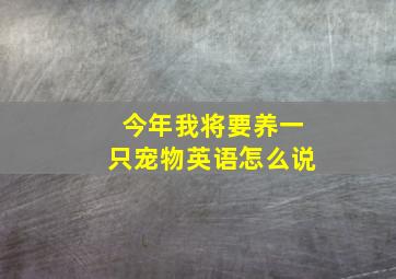 今年我将要养一只宠物英语怎么说