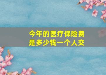 今年的医疗保险费是多少钱一个人交