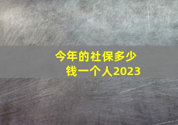 今年的社保多少钱一个人2023