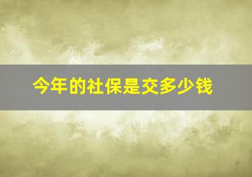 今年的社保是交多少钱