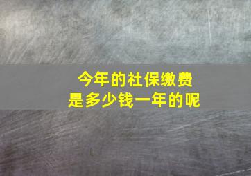 今年的社保缴费是多少钱一年的呢