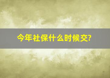 今年社保什么时候交?