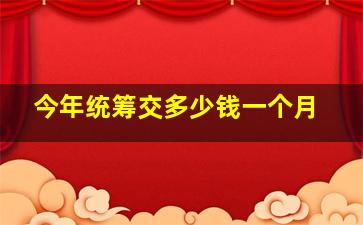 今年统筹交多少钱一个月