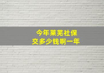 今年莱芜社保交多少钱啊一年