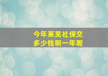 今年莱芜社保交多少钱啊一年呢