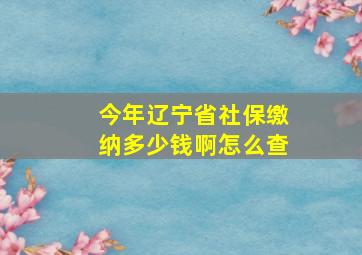 今年辽宁省社保缴纳多少钱啊怎么查