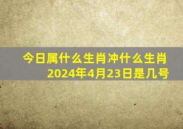 今日属什么生肖冲什么生肖2024年4月23日是几号