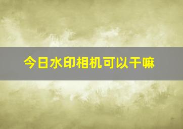 今日水印相机可以干嘛