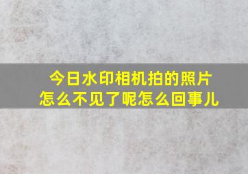 今日水印相机拍的照片怎么不见了呢怎么回事儿