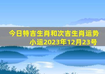 今日特吉生肖和次吉生肖运势小运2023年12月23号