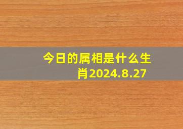 今日的属相是什么生肖2024.8.27