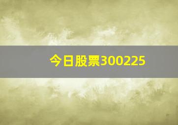 今日股票300225