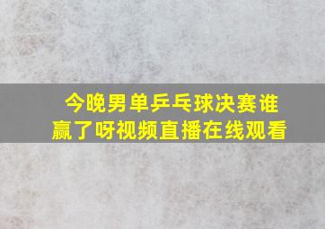 今晚男单乒乓球决赛谁赢了呀视频直播在线观看