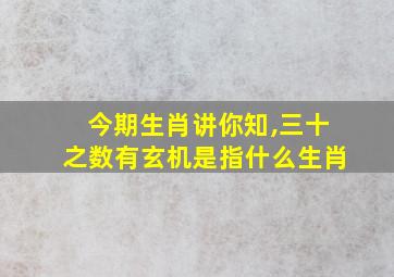 今期生肖讲你知,三十之数有玄机是指什么生肖