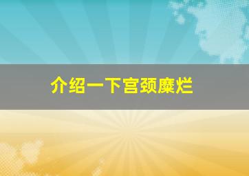 介绍一下宫颈糜烂