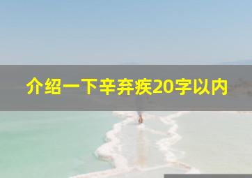 介绍一下辛弃疾20字以内