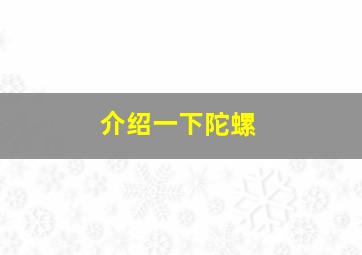 介绍一下陀螺