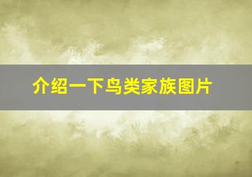 介绍一下鸟类家族图片