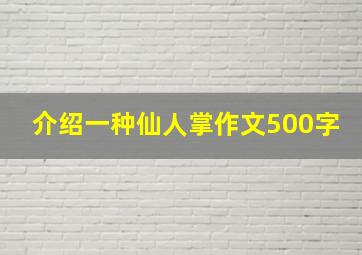 介绍一种仙人掌作文500字