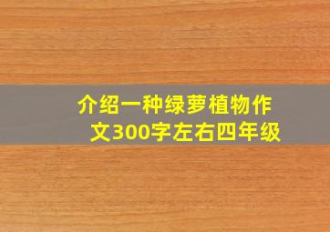 介绍一种绿萝植物作文300字左右四年级