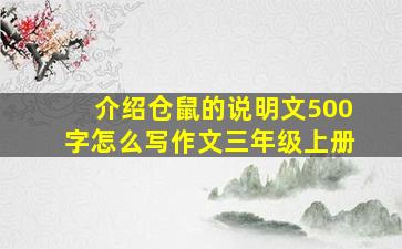 介绍仓鼠的说明文500字怎么写作文三年级上册