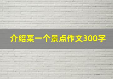 介绍某一个景点作文300字