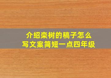 介绍栾树的稿子怎么写文案简短一点四年级