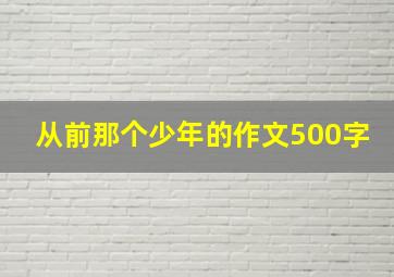 从前那个少年的作文500字