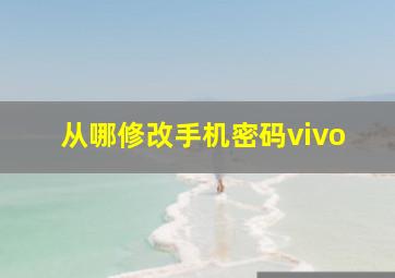 从哪修改手机密码vivo