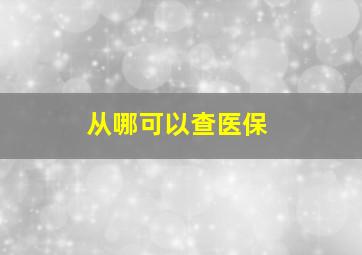 从哪可以查医保